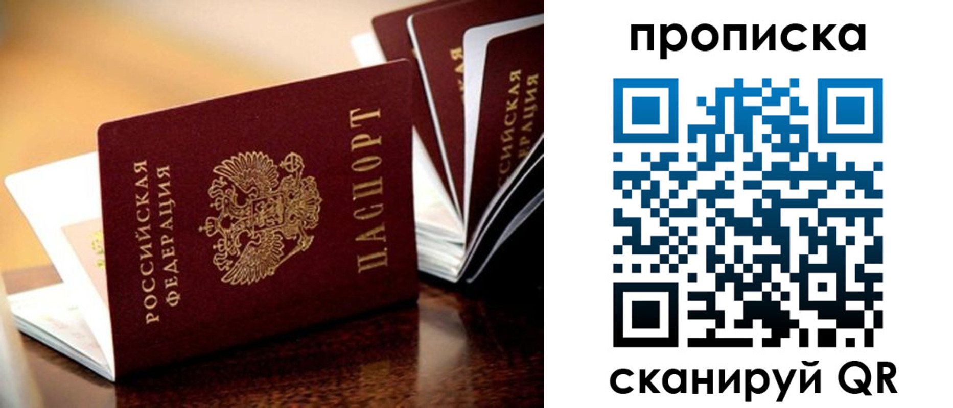 миграционный учет в Владимирской области